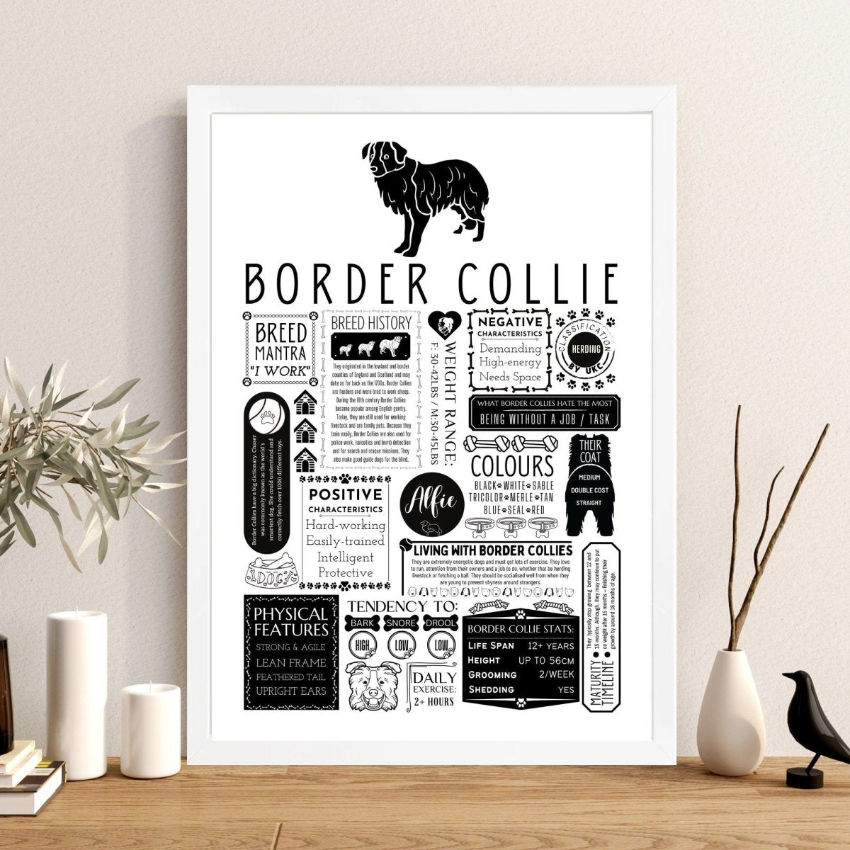 Border Collie Fact Print | Personalised with Dogs Name - The Word Shack
