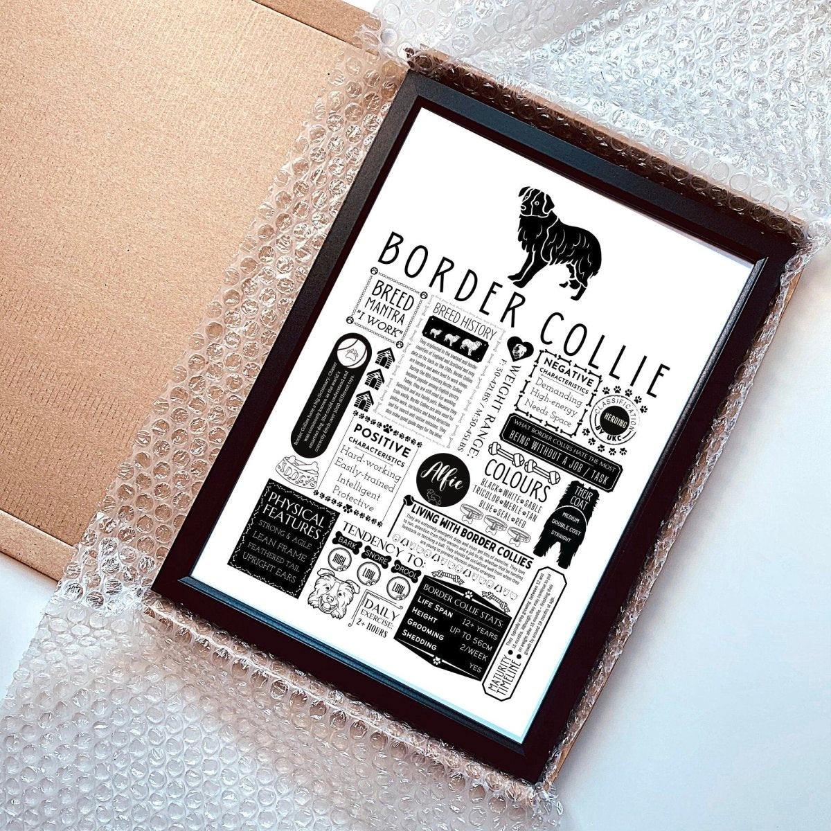 Border Collie Fact Print | Personalised with Dogs Name - The Word Shack