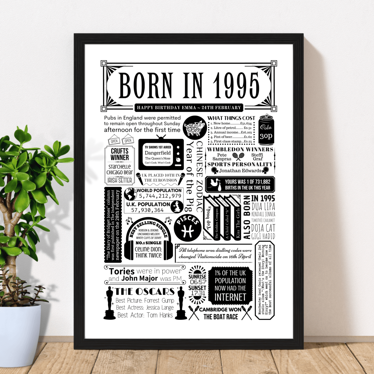 Born in 1995 Birthday Fact Print | Personalised 30th Birthday Gift - The Word Shack