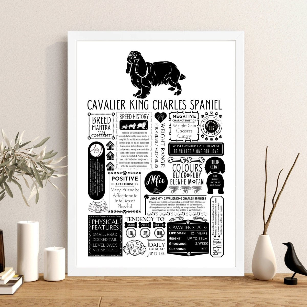 Cavalier King Charles Spaniel Personalised Fact Print - The Word Shack