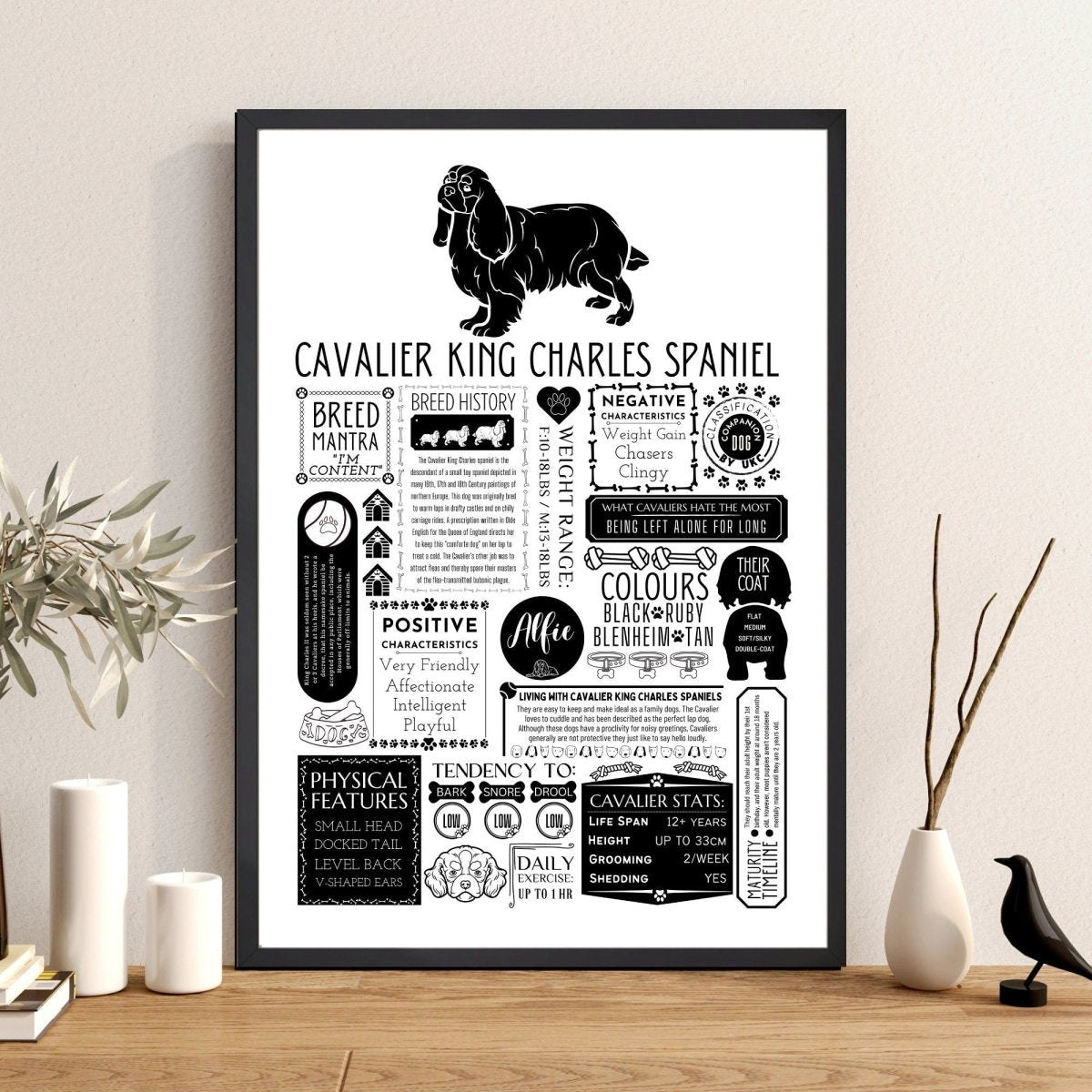 Cavalier King Charles Spaniel Personalised Fact Print - The Word Shack