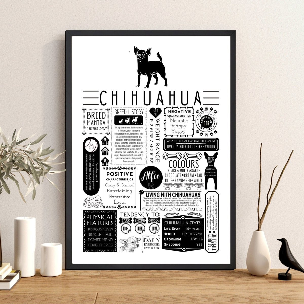 Chihuahua Personalised Fact Print - The Word Shack