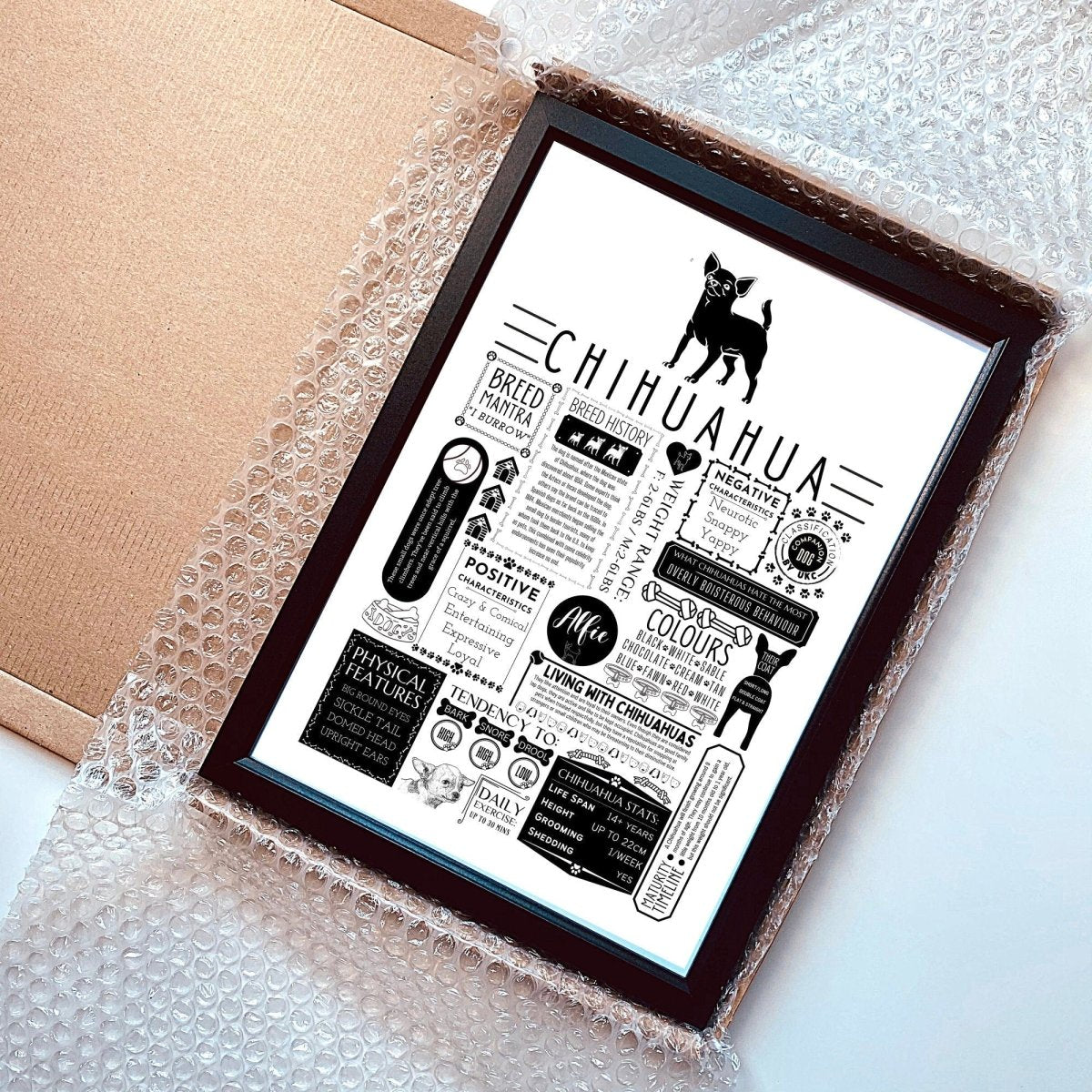 Chihuahua Personalised Fact Print - The Word Shack