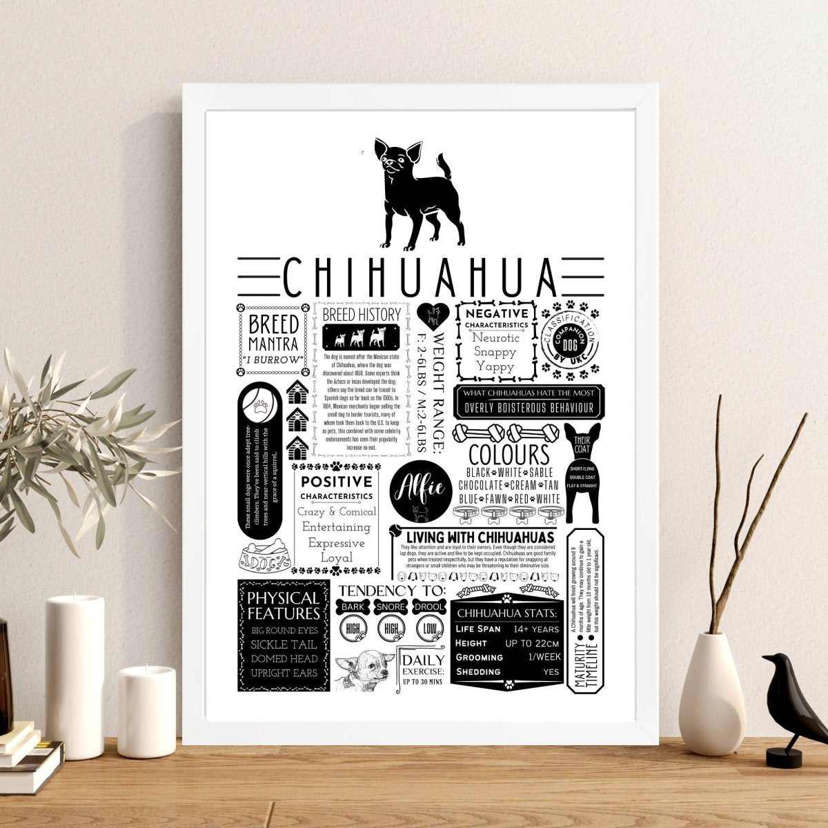 Chihuahua Personalised Fact Print - The Word Shack