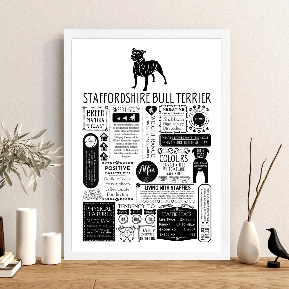 Staffordshire Bull Terrier Personalised Fact Print - The Word Shack