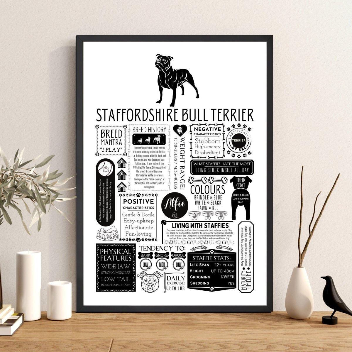 Staffordshire Bull Terrier Personalised Fact Print - The Word Shack