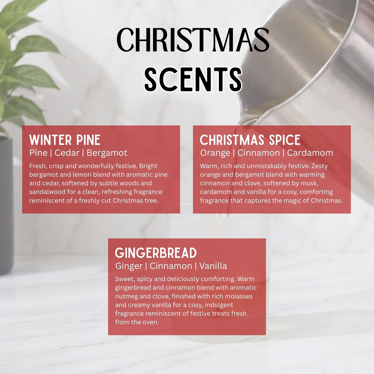 Christmas scented candle fragrance guide featuring Winter Pine with pine, cedar and bergamot, Christmas Spice with orange, cinnamon and cardamom, and Gingerbread with ginger, cinnamon and vanilla.