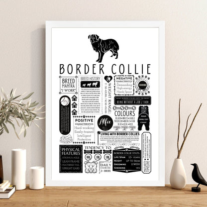 Border Collie Fact Print | Personalised with Dogs Name - The Word Shack