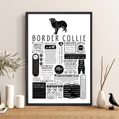 Border Collie Fact Print | Personalised with Dogs Name - The Word Shack