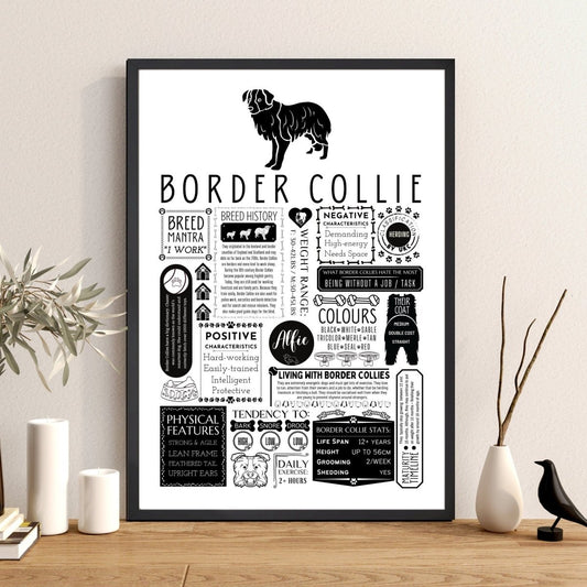 Border Collie Fact Print | Personalised with Dogs Name - The Word Shack