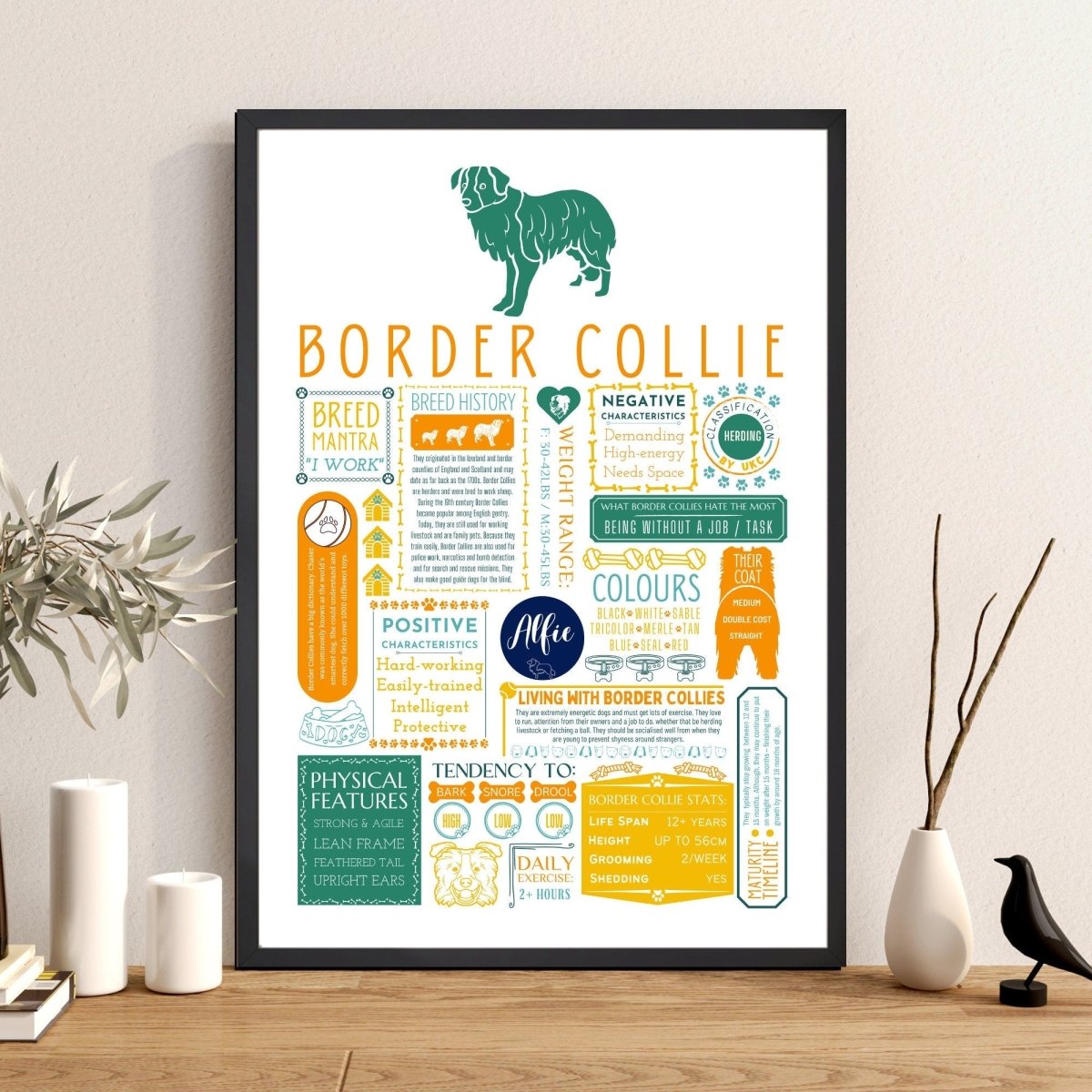 Border Collie Fact Print | Personalised with Dogs Name - The Word Shack