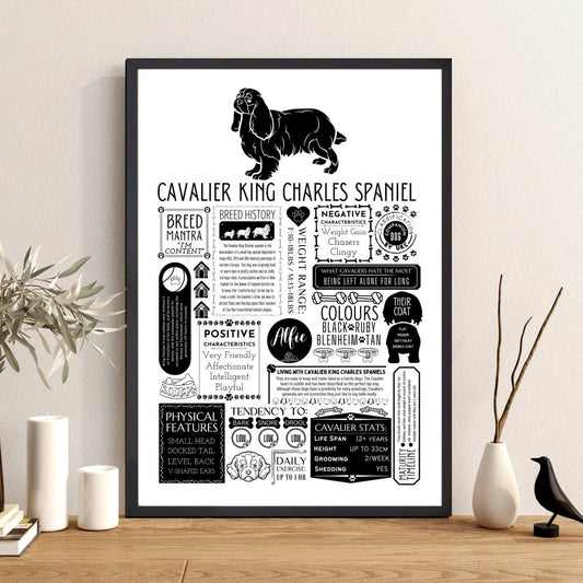 Cavalier King Charles Spaniel Personalised Fact Print - The Word Shack