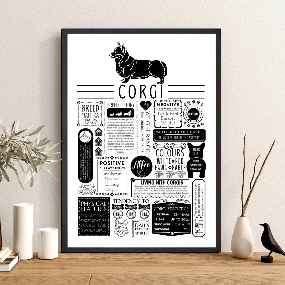 Corgi Fact Print - Personalised with Dogs Name - The Word Shack