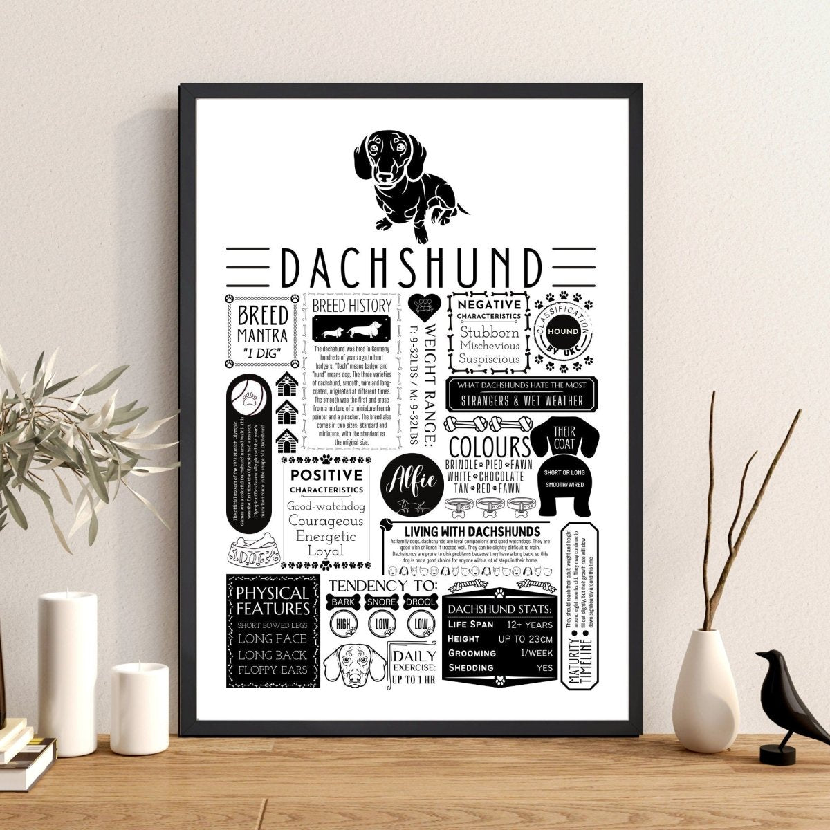 Dachshund Sausage Dog Personalised Fact Print - The Word Shack
