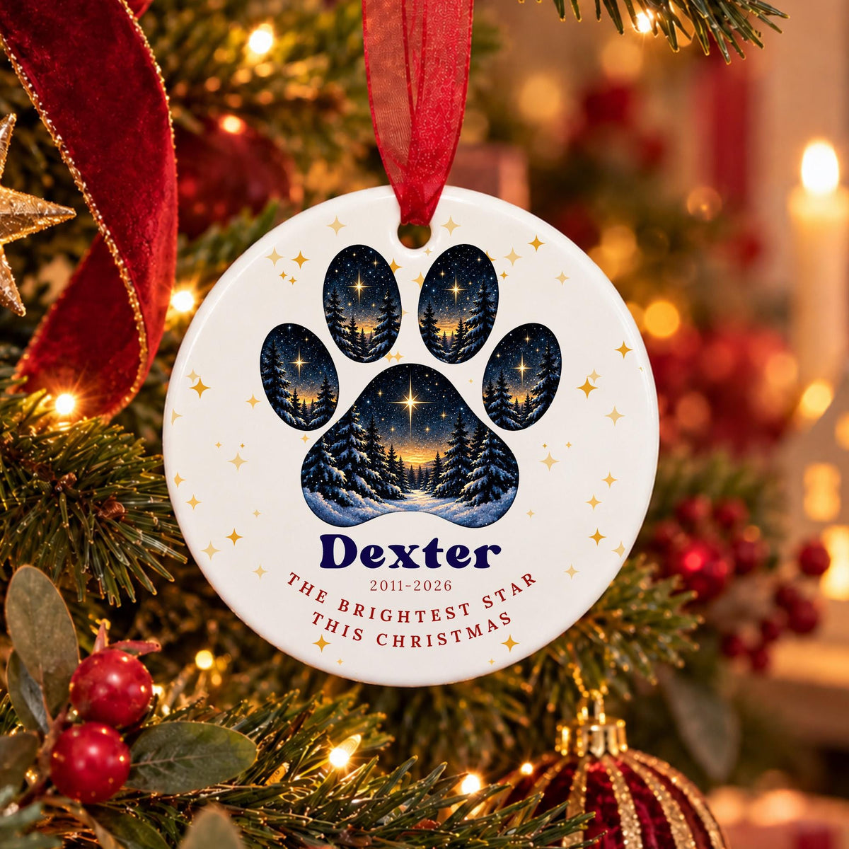 A personalized round Christmas ornament hanging on a decorated Christmas tree. The ornament is white with a large blue paw print containing a starry night sky and tree forest design, with the name 'Dexter' and the text 'THE BRIGHTEST STAR THIS CHRISTMAS' printed below.