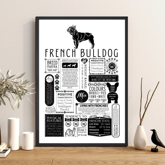 French Bulldog Personalised Fact Print - The Word Shack