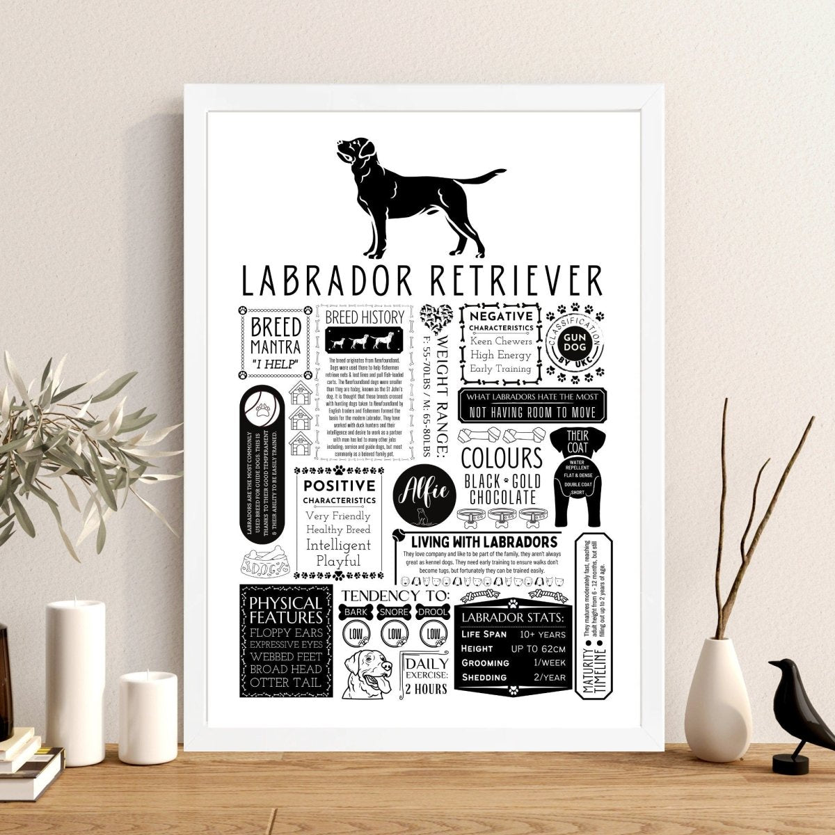 Labrador Retriever Personalised Fact Print - The Word Shack