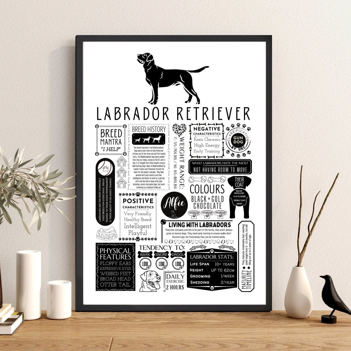 Labrador Retriever Personalised Fact Print - The Word Shack