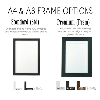 Personalised 70th Birthday Print - 1956 Custom Colour Background - The Word Shack