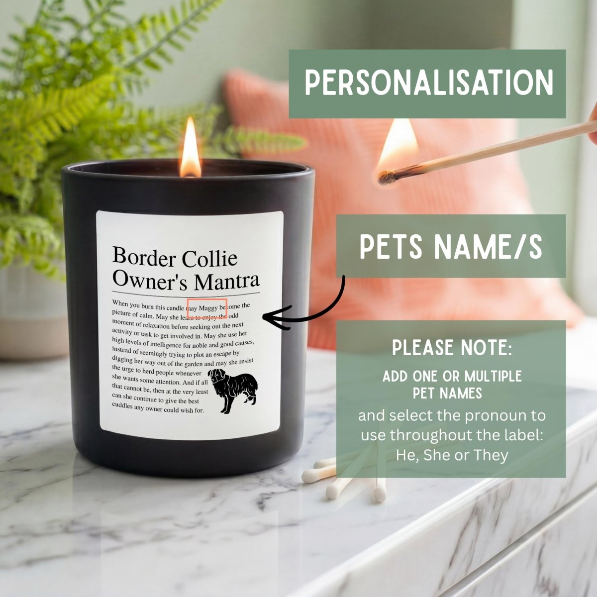 Personalised Funny Border Collie Candle - The Word Shack