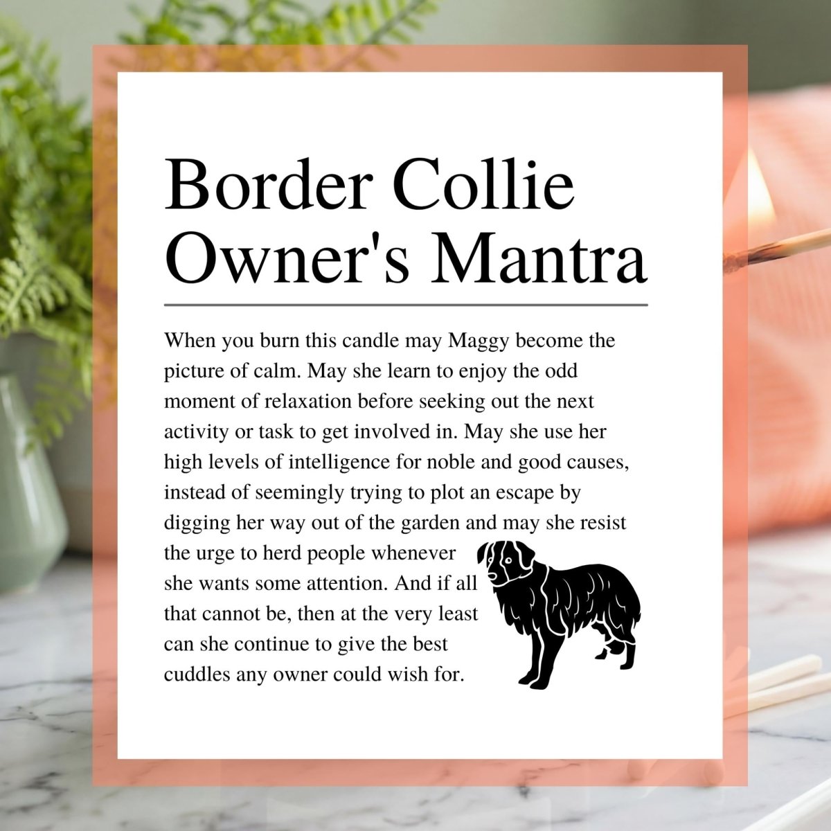 Personalised Funny Border Collie Candle - The Word Shack