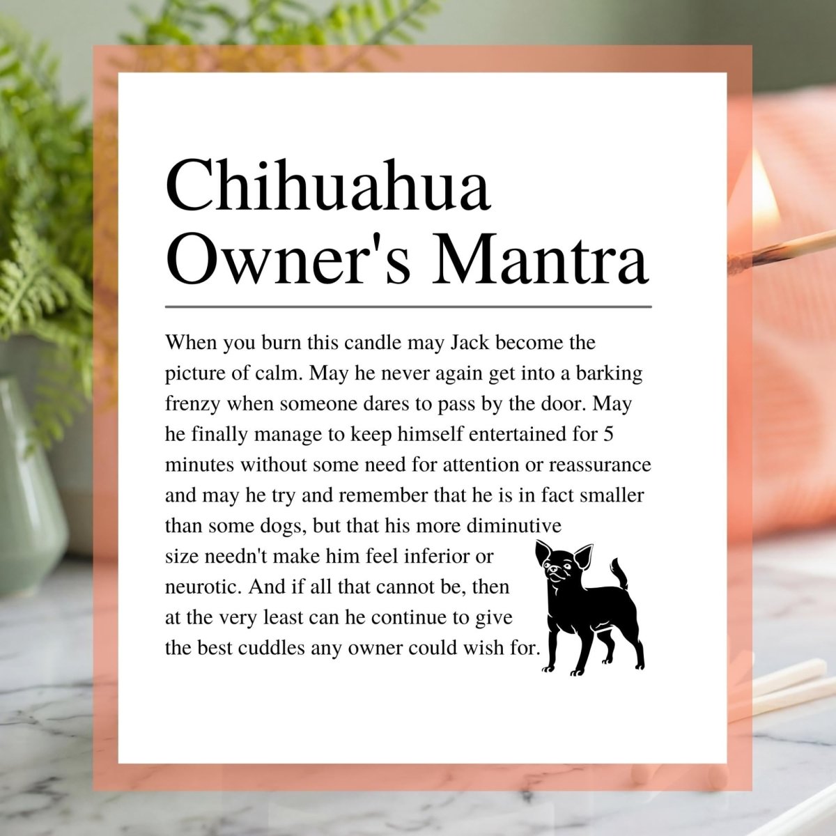 Personalised Funny Chihuahua Candle - The Word Shack