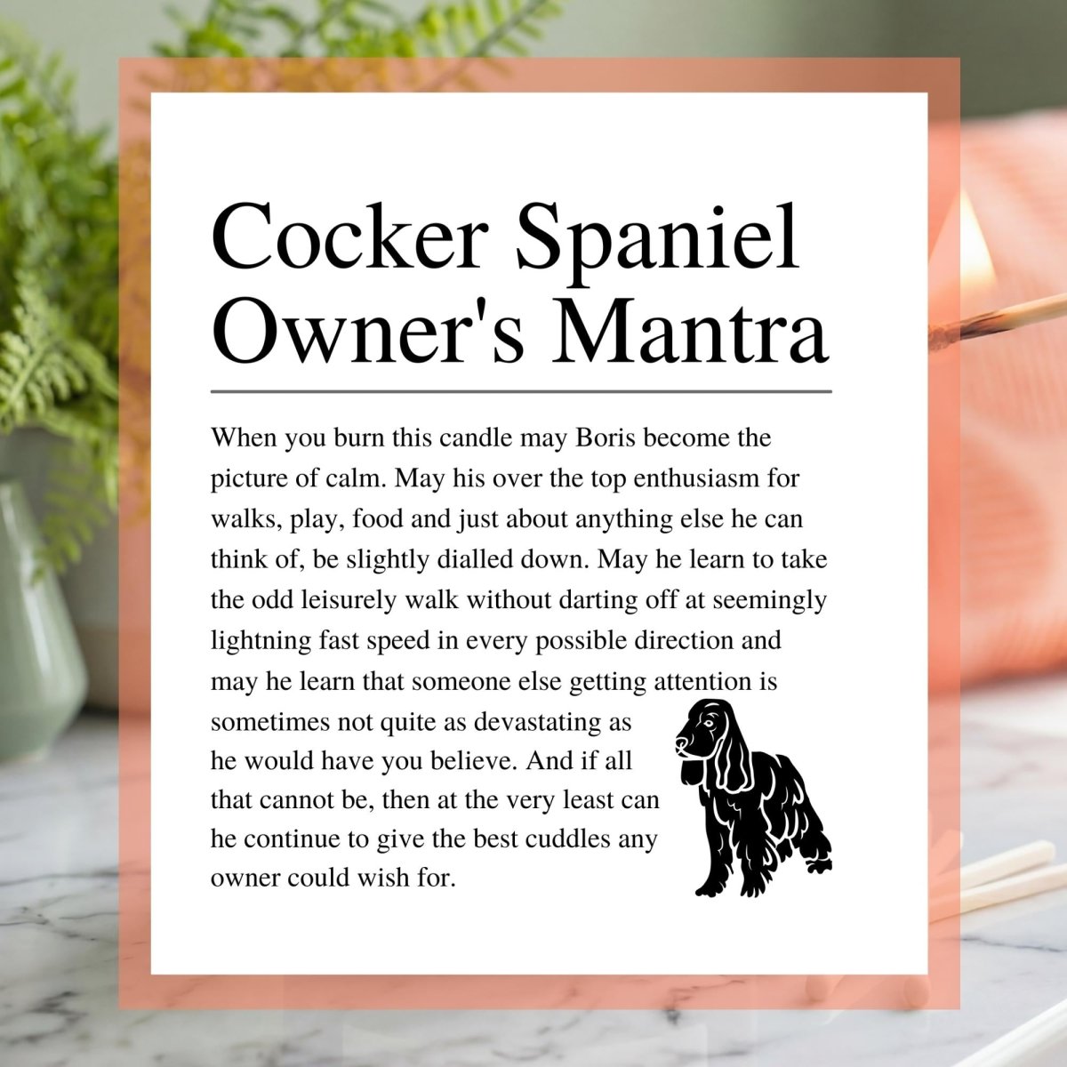 Personalised Funny Cocker Spaniel Candle - The Word Shack