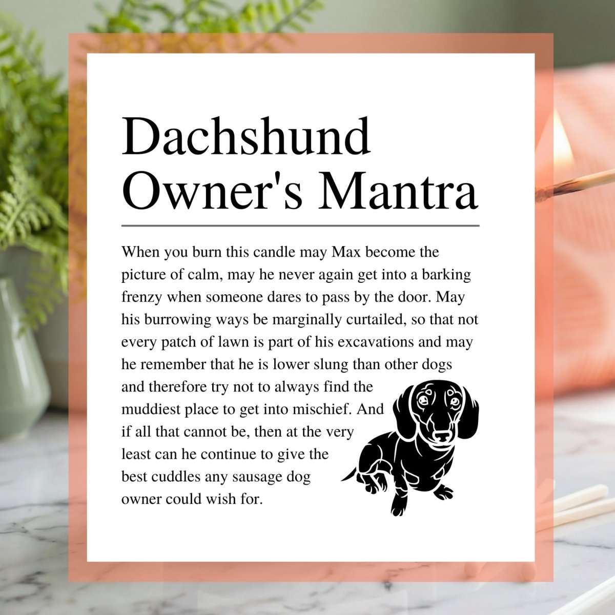 Personalised Funny Dachshund Candle - The Word Shack