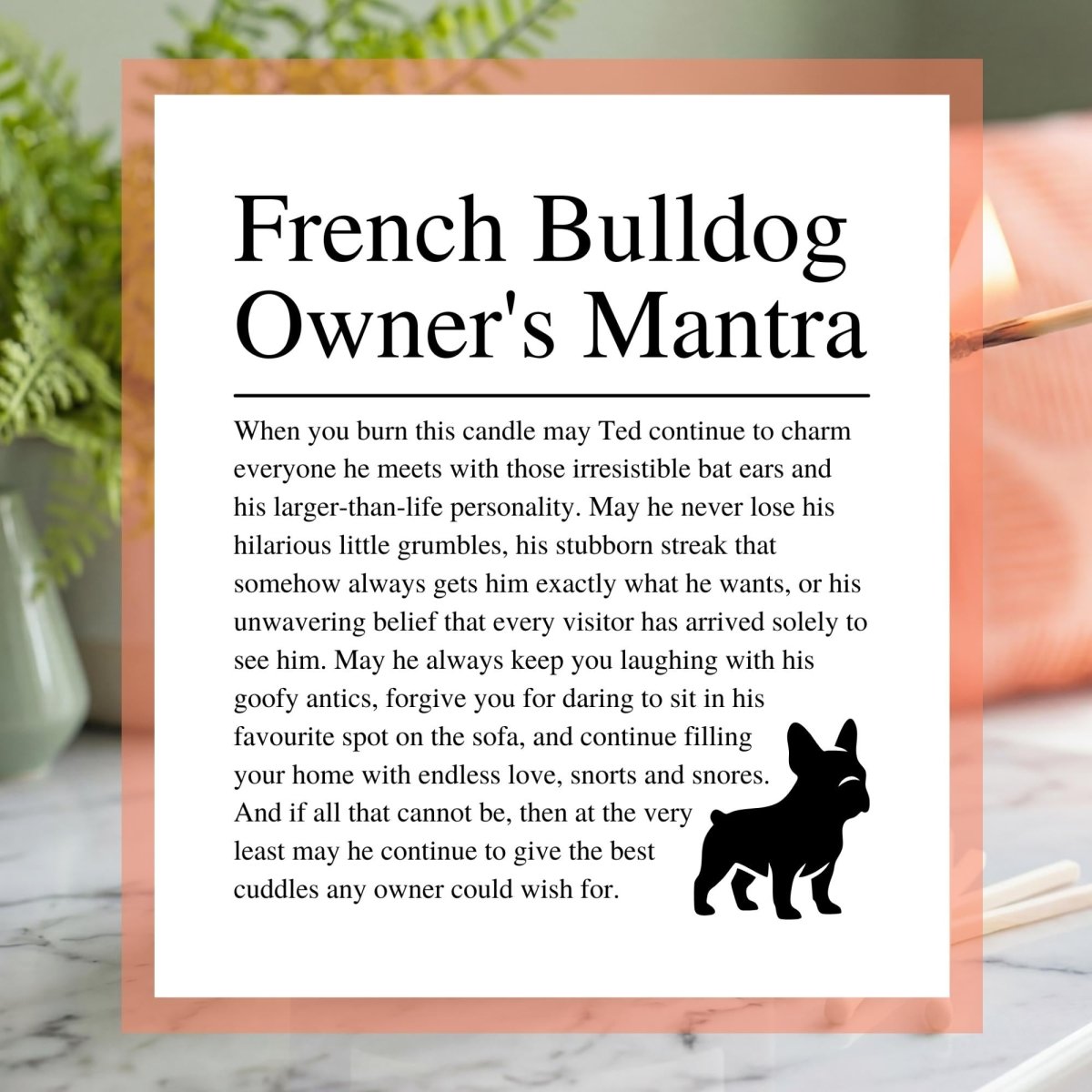 Personalised Funny French Bulldog Candle - The Word Shack