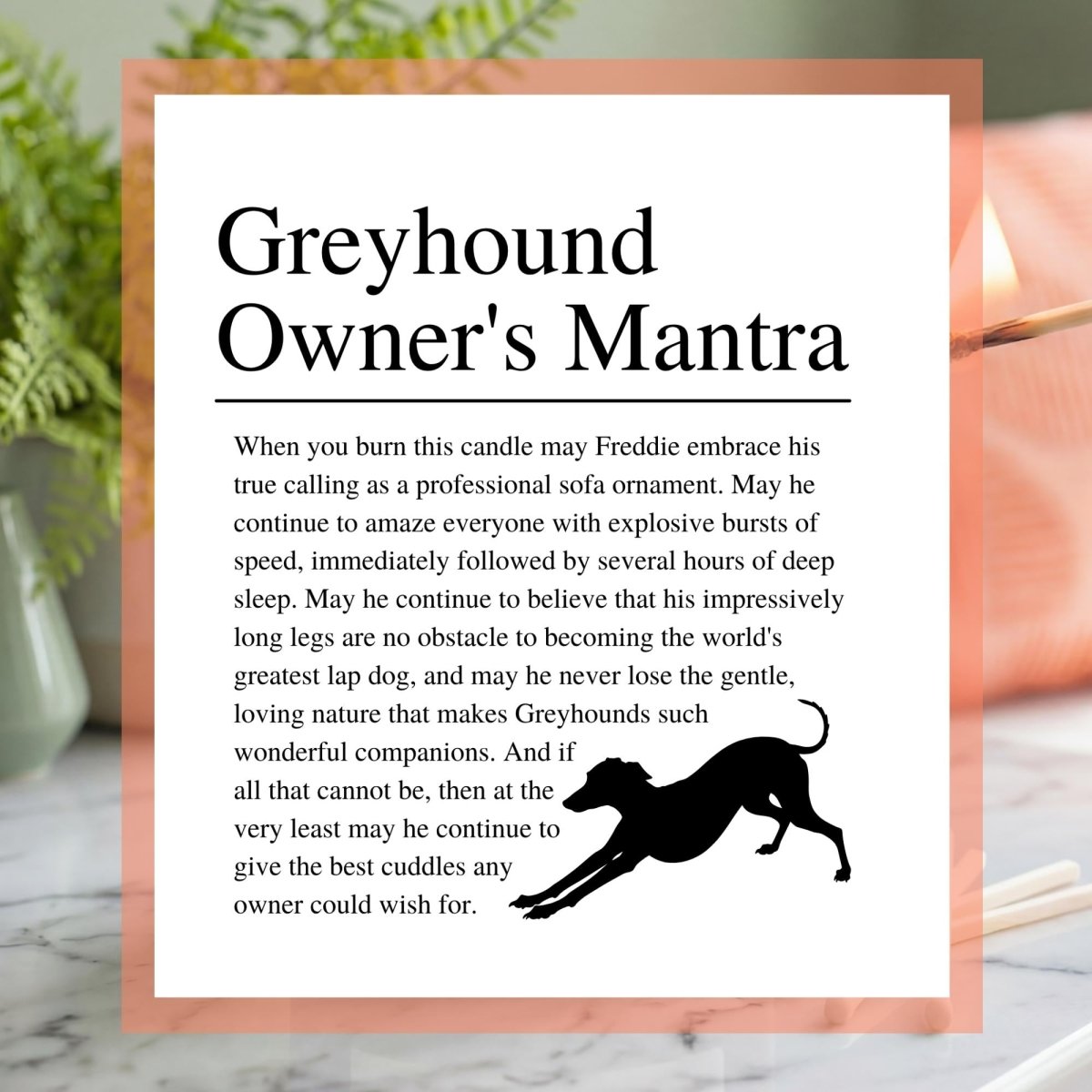Personalised Funny Grey Hound Candle - The Word Shack