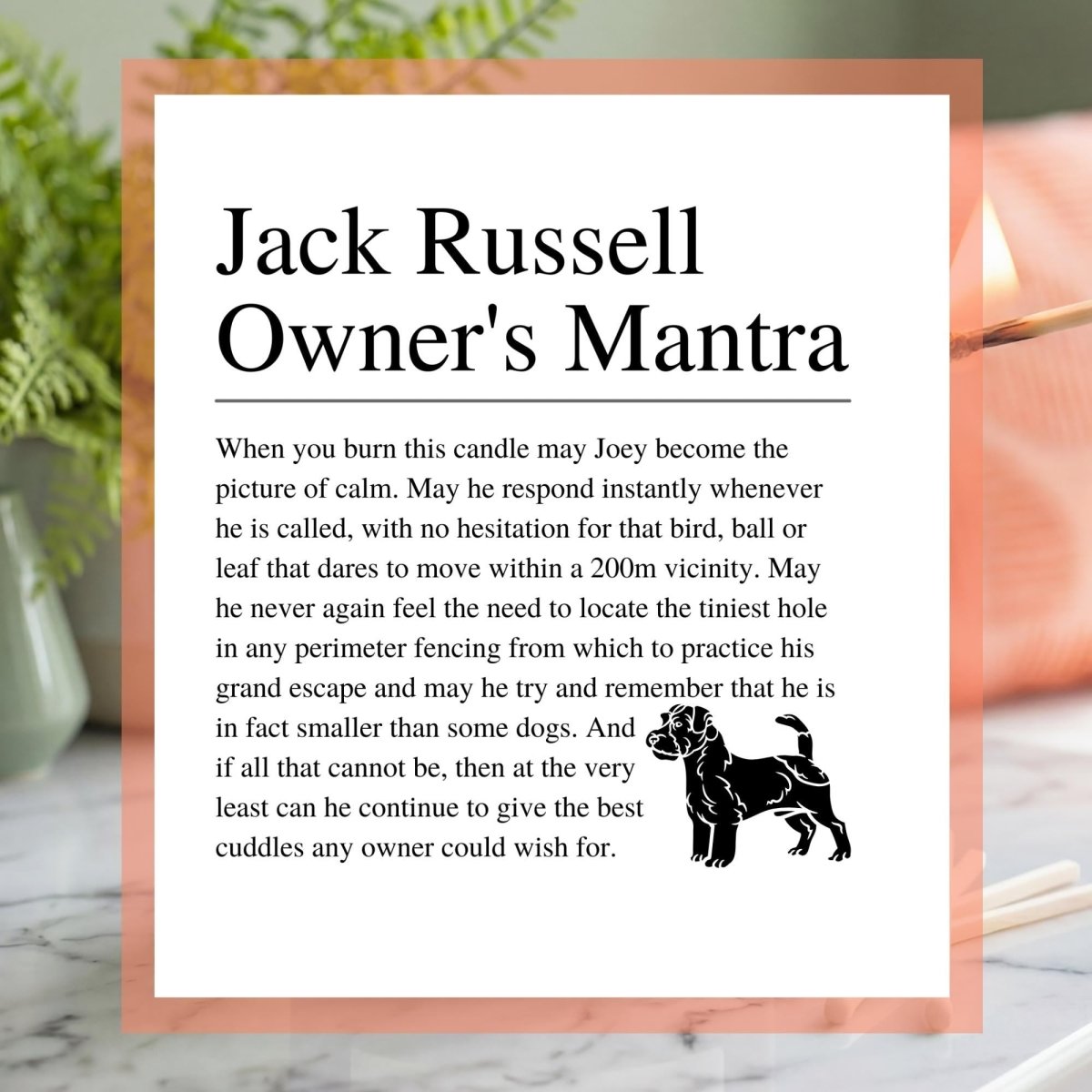Personalised Funny Jack Russell Candle | Fun Gift for Dog Owners | Phthalate Free - The Word Shack