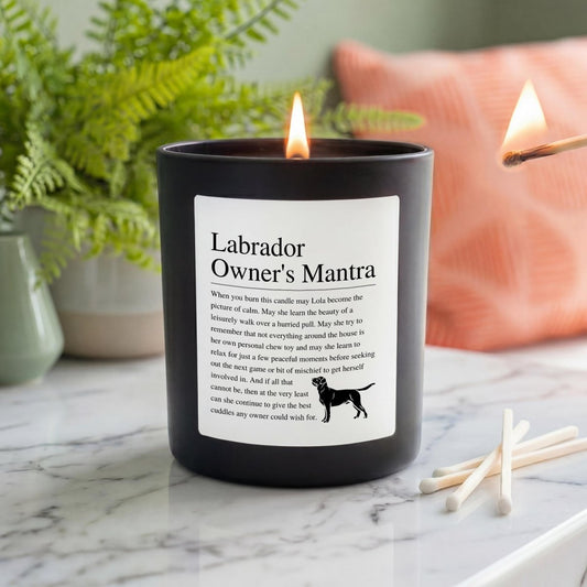 Personalised Funny Labrador Candle - The Word Shack