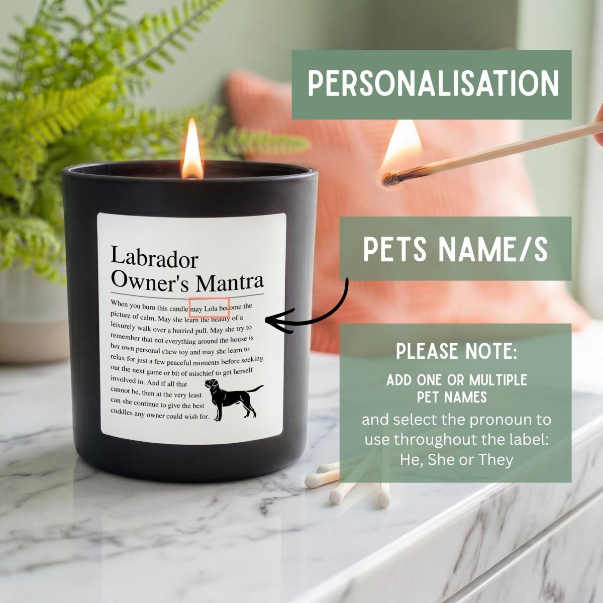 Personalised Funny Labrador Candle - The Word Shack
