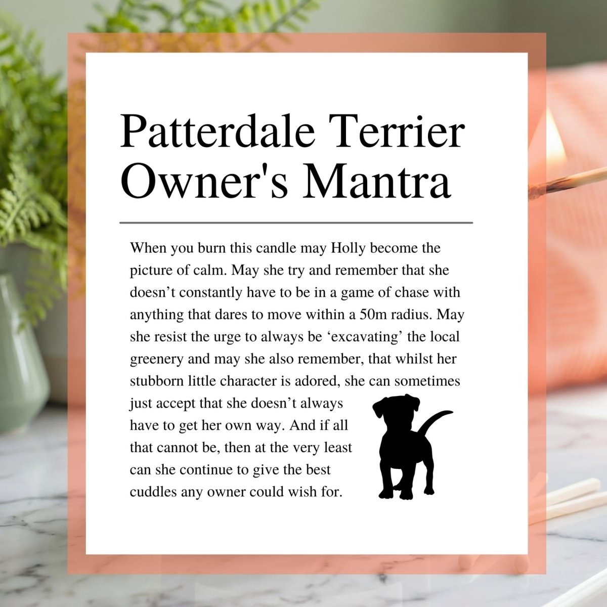 Personalised Funny Patterdale Terrier Candle - The Word Shack