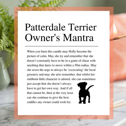 Personalised Funny Patterdale Terrier Candle - The Word Shack