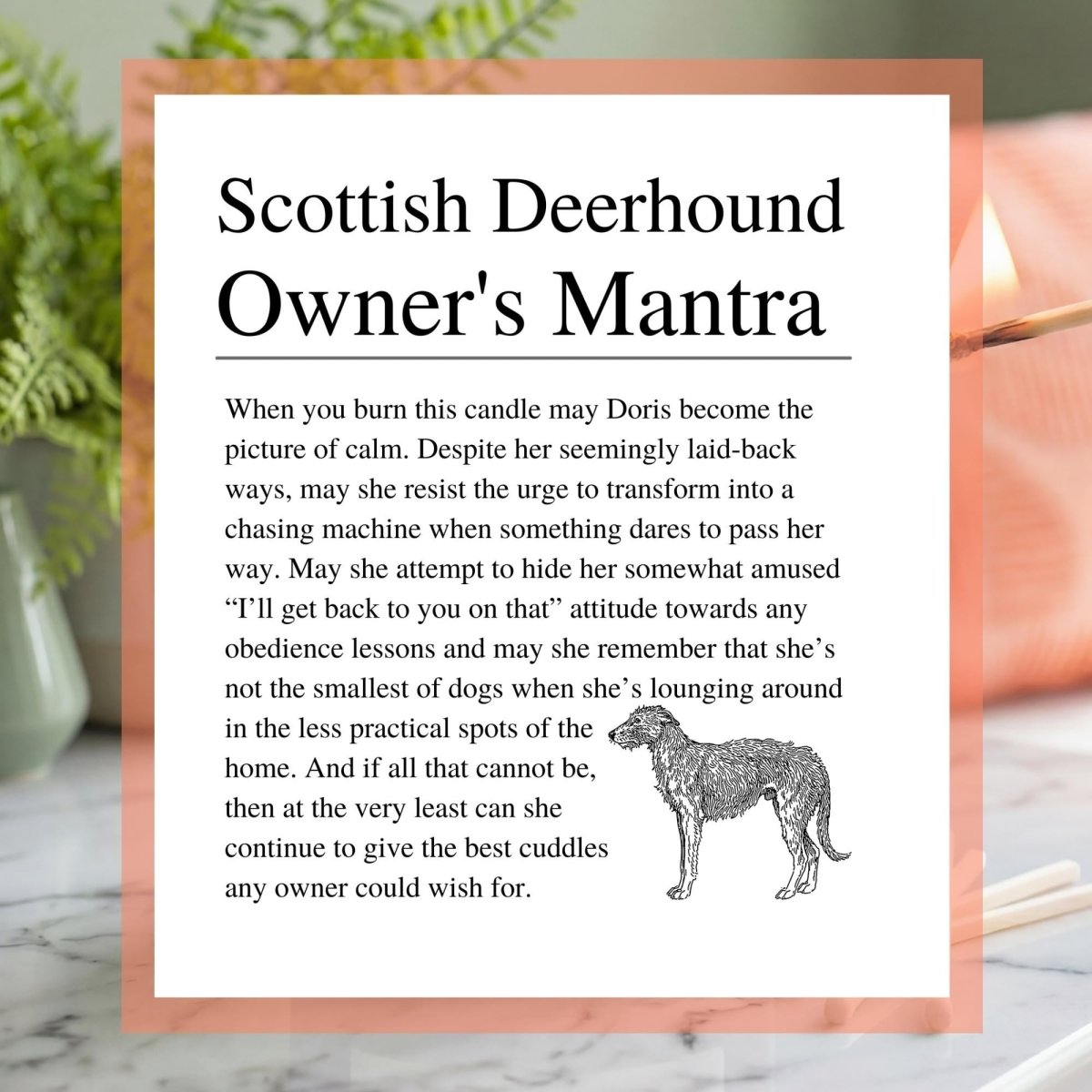 Personalised Funny Scottish Deerhound Candle - The Word Shack