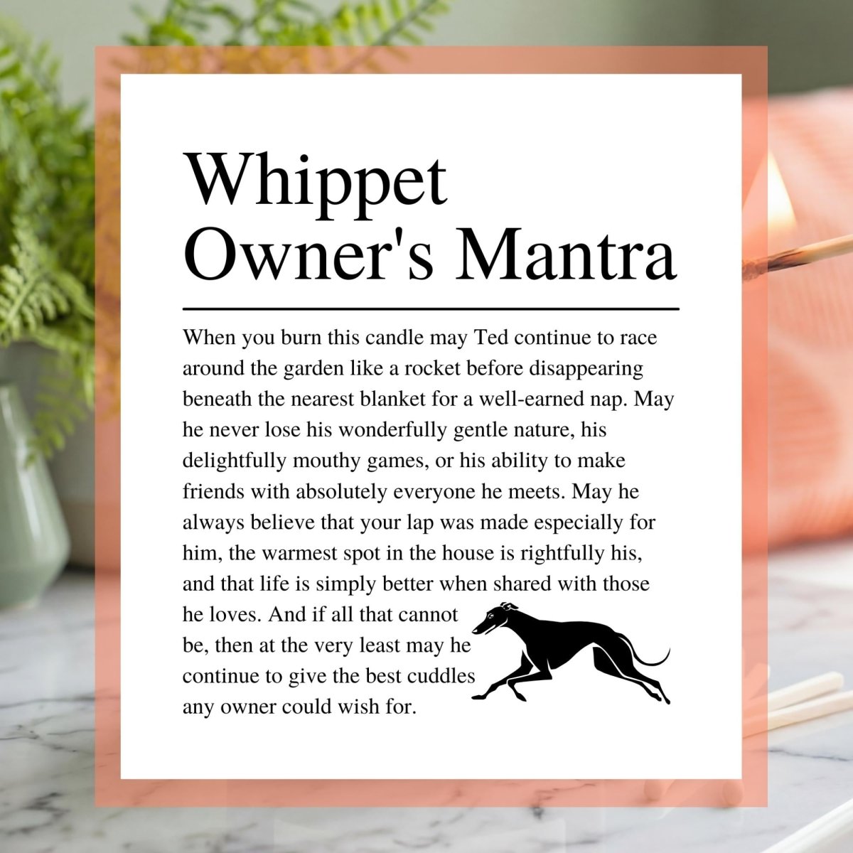 Personalised Funny Whippet Candle - The Word Shack