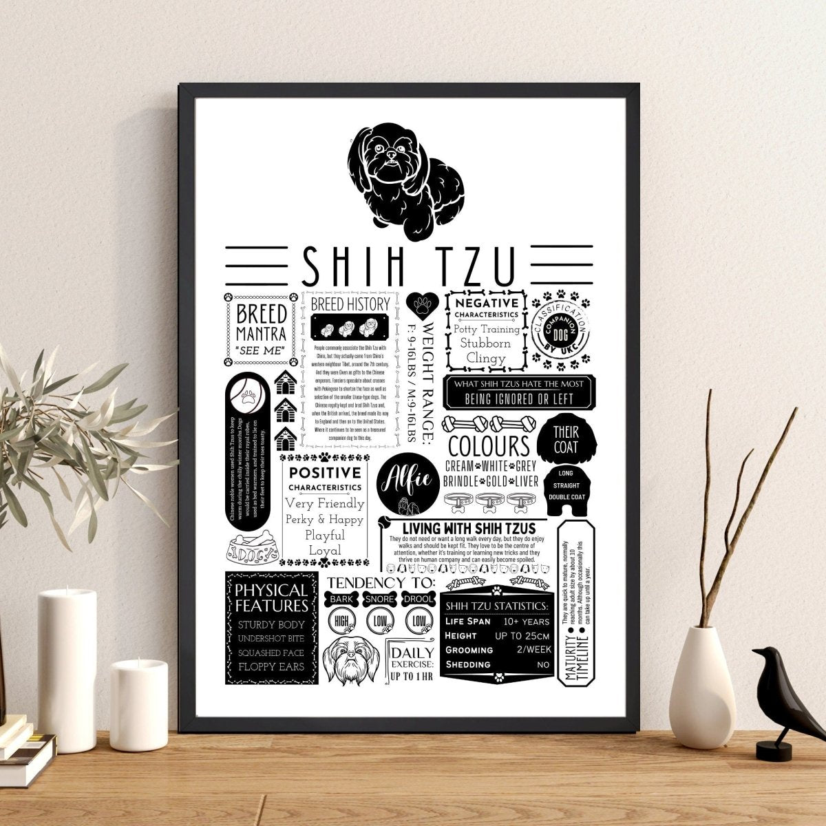 Shih Tzu Personalised Fact Print - The Word Shack